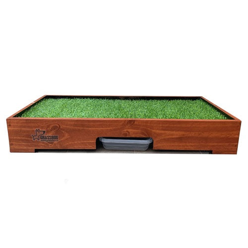 grassbox_pasto_sintetico2_perro_0763331492103.jpg