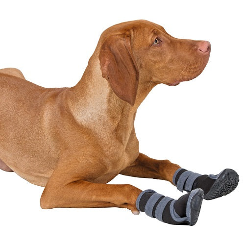 kerbl_botas2_perro_4018653907900.jpg