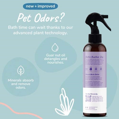 kin_kind_spray_neutra_lavanda2_perro_gato_854362006688.jpg