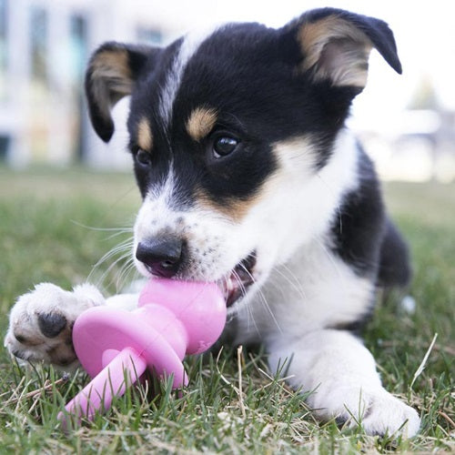 kong_binkie_chupete_juguete2_perro_035585131207.jpg