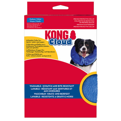 kong_cloud_medium_035585081342.jpg