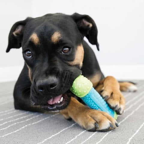 kong_juguete_hueso_mordisqueable2_perro_035585447001.jpg