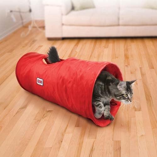kong_tunel2_gato_035585450551.jpg