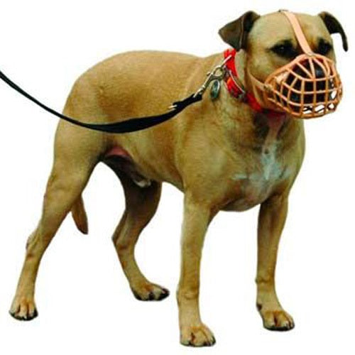kruuse_bozal2_perro_5703188038128.jpg