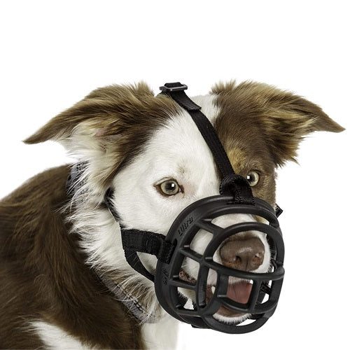 kruuse_bozal_goma2_perro_5703188300775.jpg