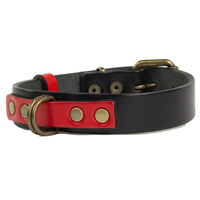 mauloa_collar_cuero_negro2_perro_1000314170006.jpg