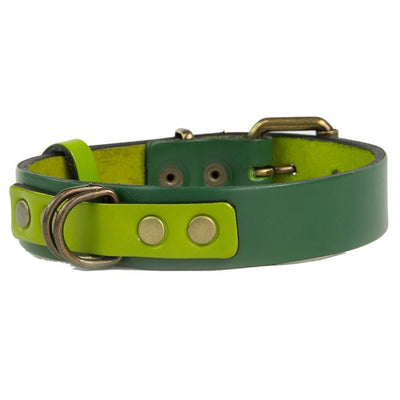 mauloa_collar_cuero_verde2_perro_1000321200006.jpg