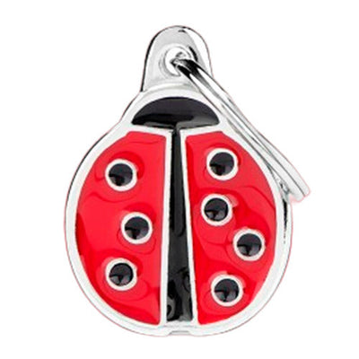Big Ladybug