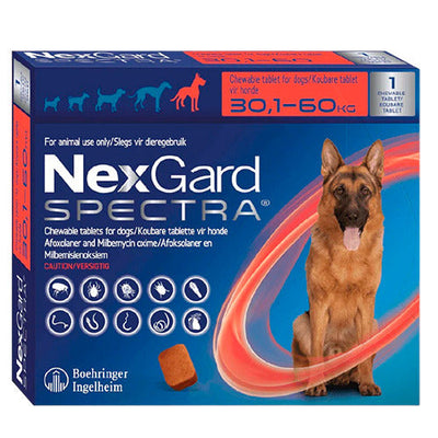 Spectra x 1 Tableta Masticable 30,1 a 60 Kg