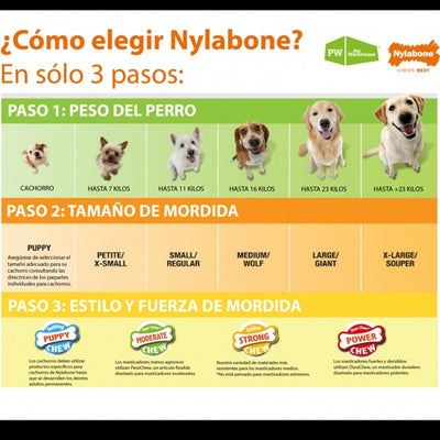 nylabone_hueso2_perro_018214822950.jpg