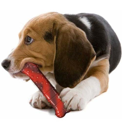 nylabone_hueso_carne2_perro_018214845560.jpg