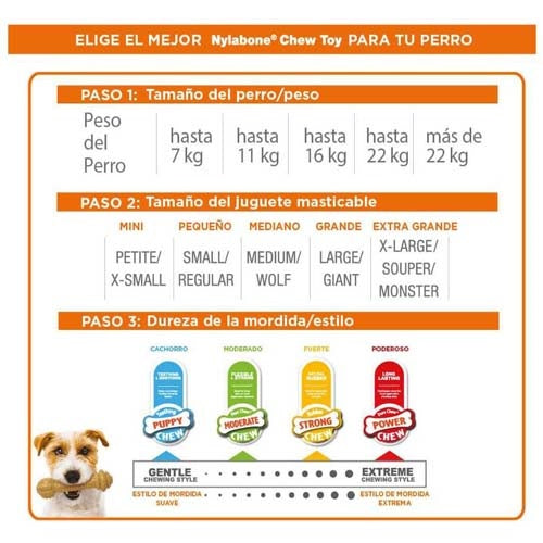 nylabone_hueso_rellenable2_perro_018214843702.jpg