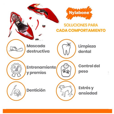 nylabone_hueso_small2_perro_018214833208.jpg