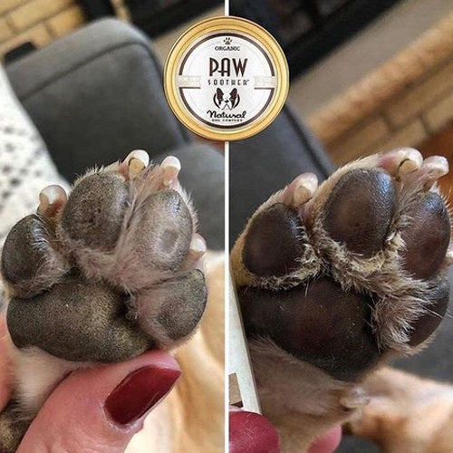 Organic_Paw_Soother2_Perro_Humectante_Patas_640901459707.jpg