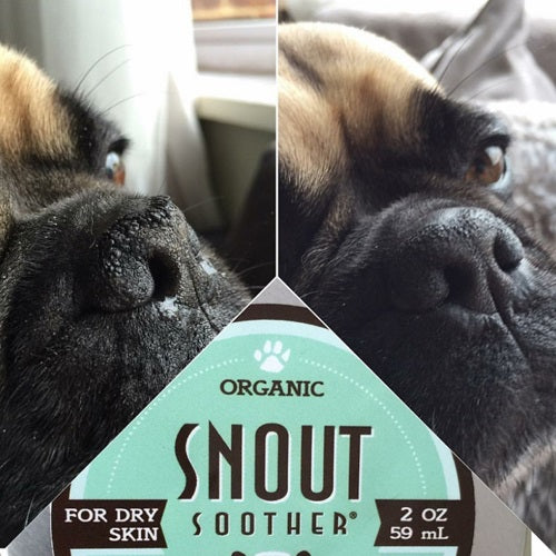 organic_snout_soother2_hidratante_nariz_perro_638499342655.jpg