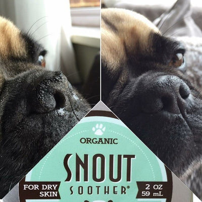 Organic_Snout_Soother2_Hidratante_Nariz_Perro_718122018055.jpg