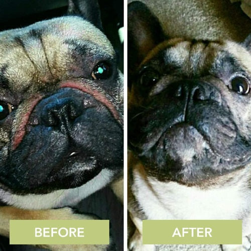 organic_wrinkle_balm2_arruga_humectante_perro_638499342570.jpg