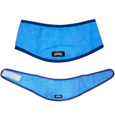 pawise_bandana_enfriamiento2_perro_8886467522246.jpg