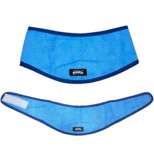 pawise_bandana_enfriamiento2_perro_8886467522277.jpg
