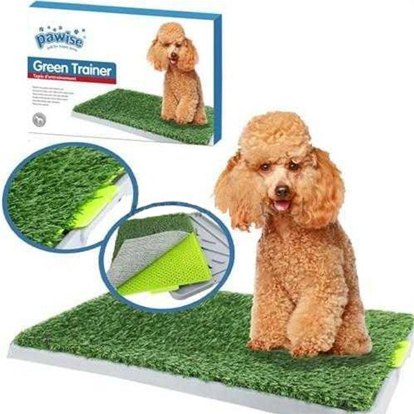 pawise_perro_pasto_sanitario_entrenamiento2_8886467514487.jpg