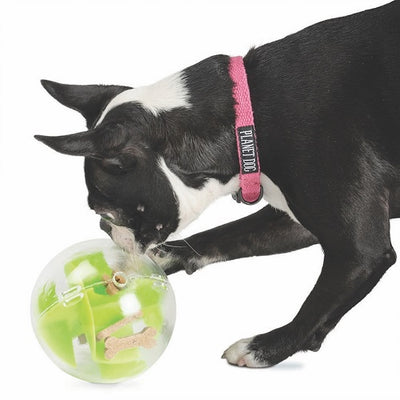 planet_dog_juguete_pelota_verde_perro2_834447006840.jpg