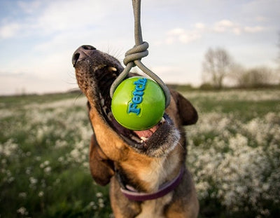 planet_dog_pelota_juguete_fetch_perro2_834447002033.jpg