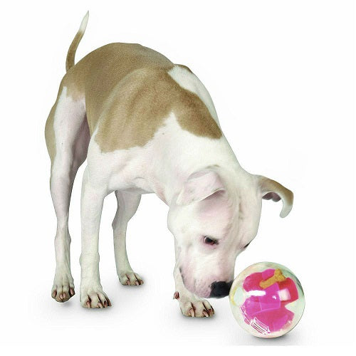 planet_dog_pelota_juguete_rosa_perro2_834447009940.jpg