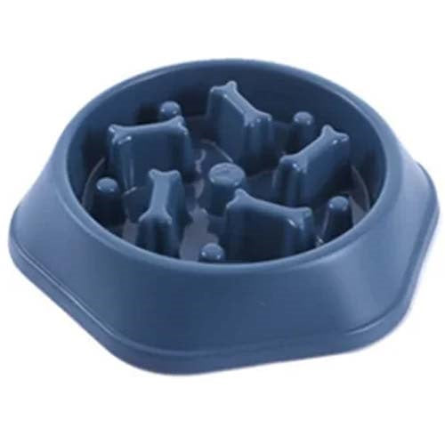 plato_come_lento_perro_2893700057201.jpg