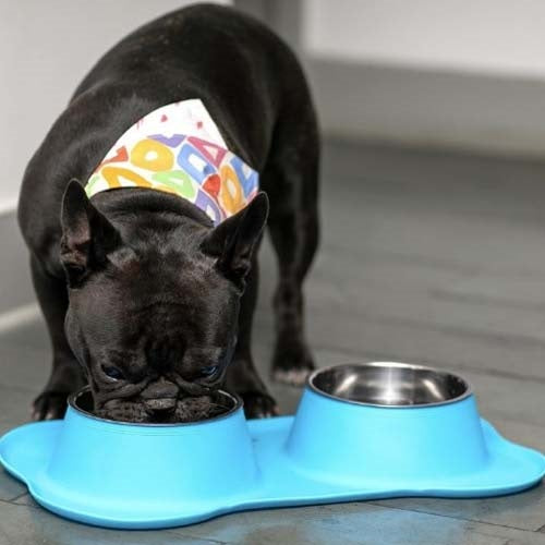 plato_doble_celeste2_comederos_y_bebederos_the_black_dog_perros_100000008645.jpg