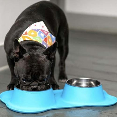 plato_doble_celeste2_comederos_y_bebederos_the_black_dog_perros_100000008645.jpg
