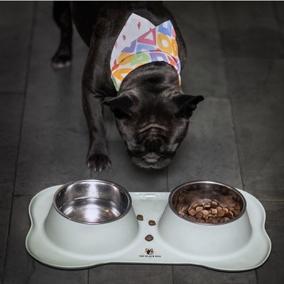 plato_doble_gris_comedero_y_bebedero_the_black_dog_100000008646.jpg