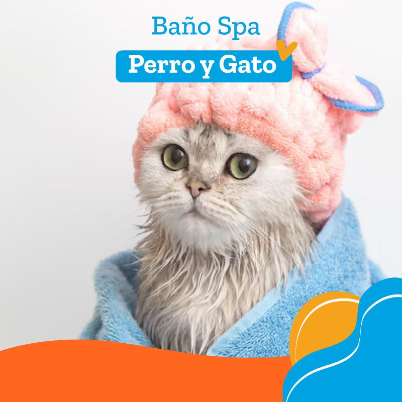 Peluqueria Baño Spa