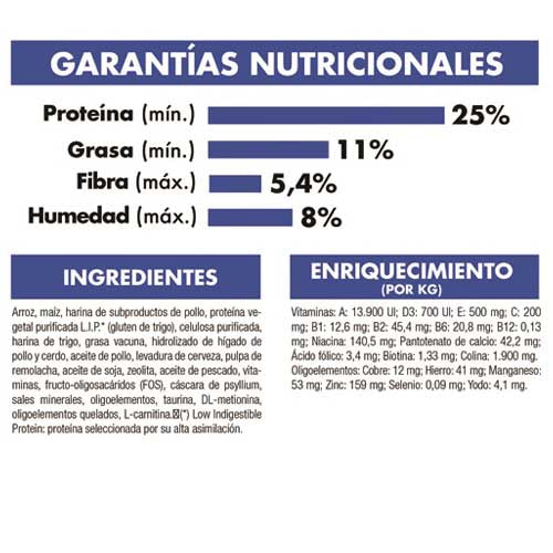royal_canin_alimento_home_life_indoor_27_gato2_7790187005273.jpg