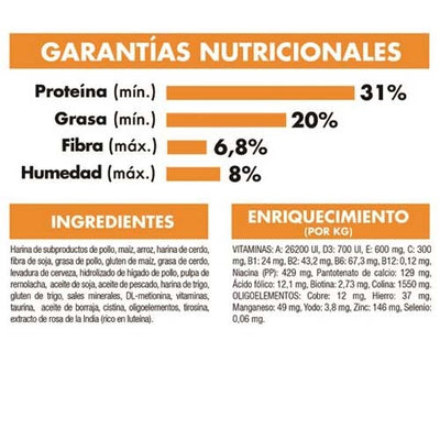 royal_canin_hair_skin_gato2_7790187340343.jpg