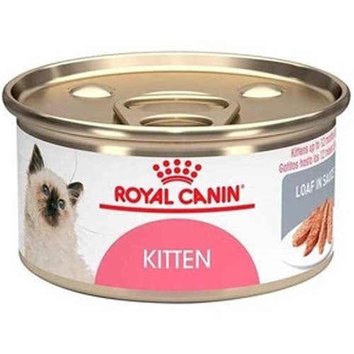 royal_canin_kitten_gato_030111410153.jpg