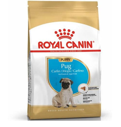 royal_canin_pug_puppy_perro_7896181299264.jpg