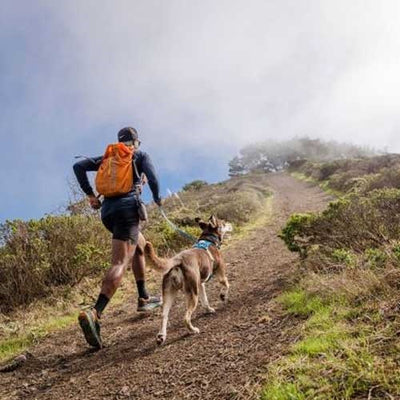 ruffwear_arnes_azul2_perro_748960092436.jpg