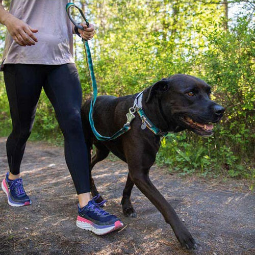 ruffwear_crag_collar_perro_verde2_748960986353.jpg