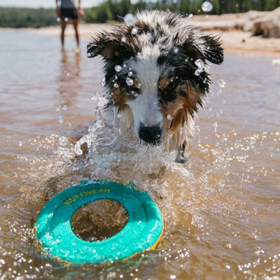 ruffwear_frisbee2_perro_748960410933.jpg