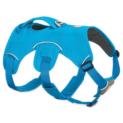 ruffwear_web_master_arnes_celeste_perro_748960158620.jpg