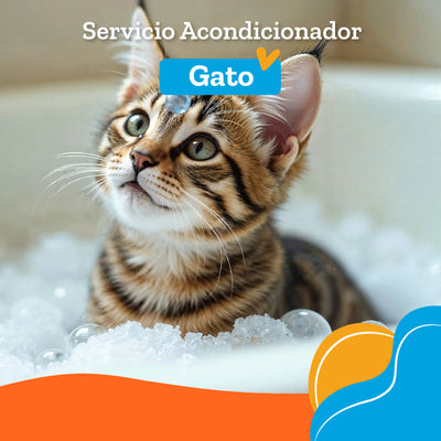 Servicio de Acondicionador