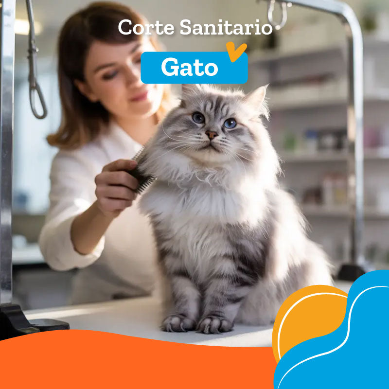 Corte Sanitario