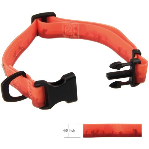 skipdawg_collar2_perro_6942018230083.jpg