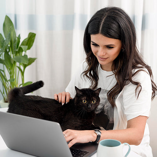 Telemedicina Veterinaria