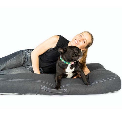 the_black_dog_cama2_king_perro_100000742203.jpg