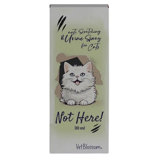 vet_blossom_not_here_0525998100003.jpg