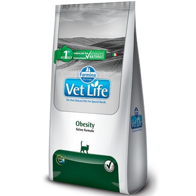 vet_life_obesity_gato_7898604431138.jpg