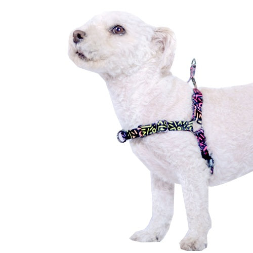 wauke_arnes2_perro_0763331542259.jpg