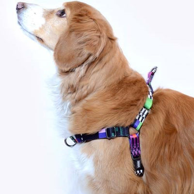 arnés_non-pull_glitch_medium_2