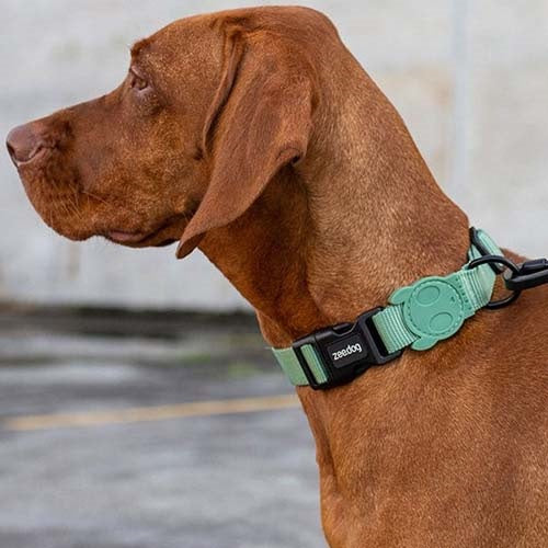 zeedog_army_collar2_perro_7898582508303.jpg